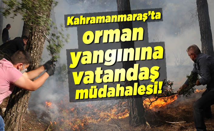 Kahramanmaraş'ta orman yangınına vatandaş müdahalesi!