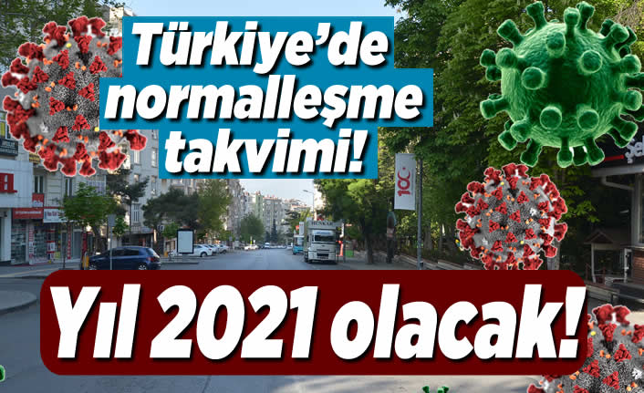 Türkiye'de normalleşme vaktimi! Yıl 2021 olacak!
