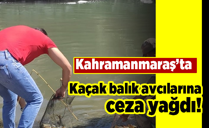 Kahramanmaraş'ta kaçak balık avcılarına ceza yağdı!