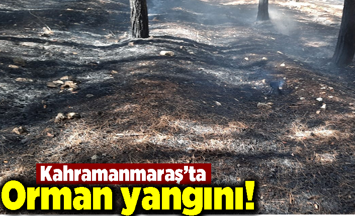 Kahramanmaraş'ta orman yangını!