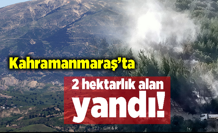 Kahramanmaraş'ta 2 hektarlık alanda yangın!