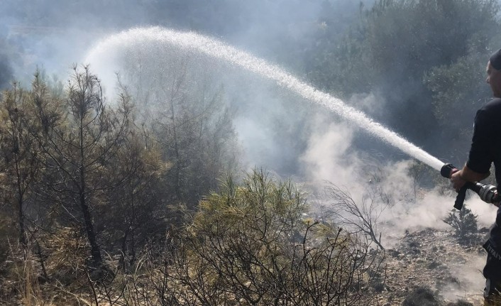 Manavgat'ta kırsal alan yangını