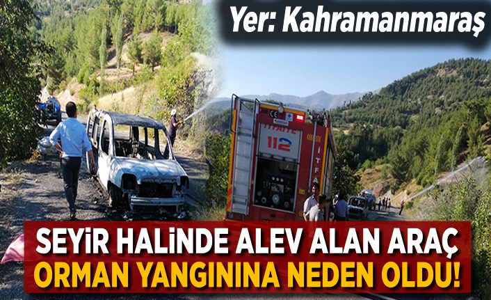 Kahramanmaraş'ta seyir halinde alev alan hafif ticari araç orman yangının çıkmasına neden oldu.
