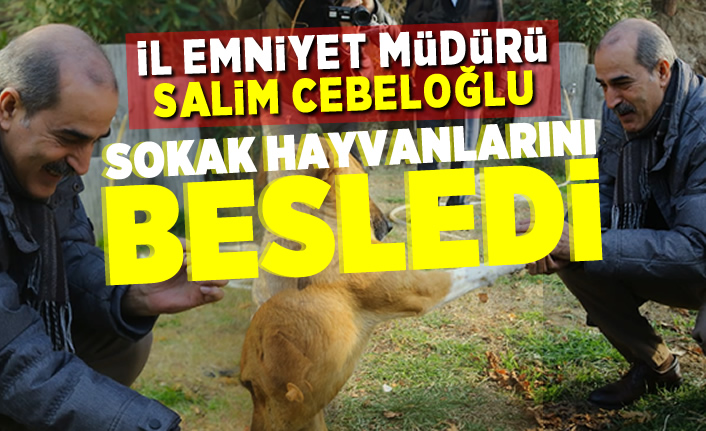 İl Emniyet Müdürü Salim Cebeloğlu sokak hayvanları besledi!