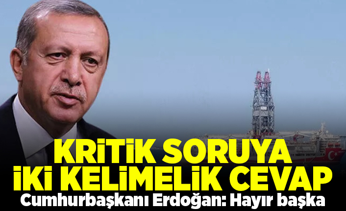 Kritik soruya iki kelimelik cevap! Cumhurbaşkanı Erdoğan: Hayır başka!