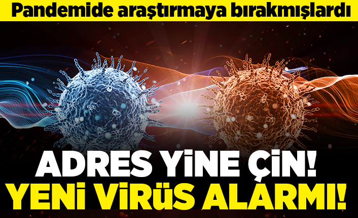 Pandemide araştırmayı bırakmışlardı! Adres yine çin! Yeni virüs alarmı!