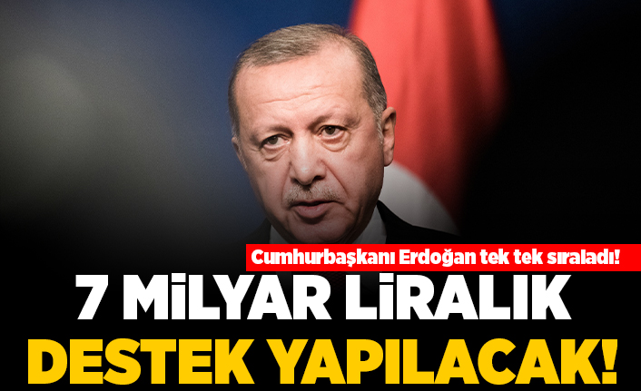 Cumhurbaşkanı Erdoğan tek tek sıraladı! 7 milyar liralık destek yapılacak!