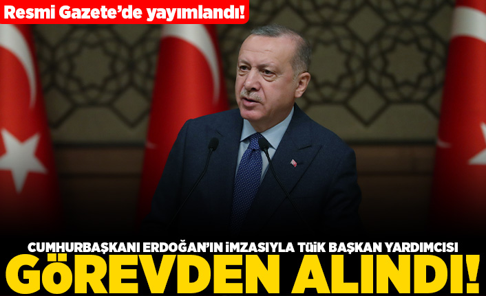 Resmi gazetede yayımlandı! Cumhurbaşkanı Erdoğan'ın imzasıyla TÜİK Başkan yardımcısı görevden alındı!